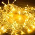 LED Warm Electric Lights ( approx. 20 Feet )